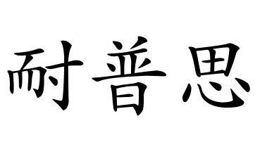 耐普思